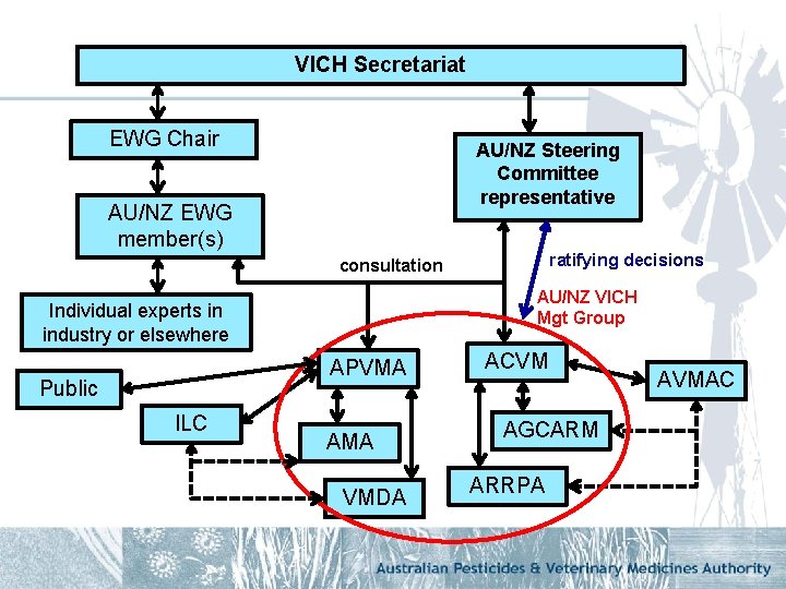 VICH Secretariat EWG Chair AU/NZ Steering Committee representative AU/NZ EWG member(s) ratifying decisions consultation