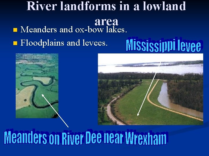 River landforms in a lowland area Meanders and ox-bow lakes. n Floodplains and levees.