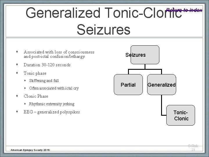 Generalized Tonic-Clonic Seizures Return to index Associated with loss of consciousness and post-ictal confusion/lethargy