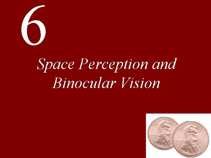 6 Space Perception and Binocular Vision 