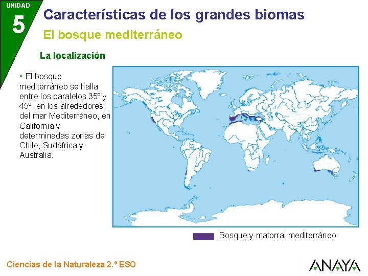 UNIDAD 5 Características de los grandes biomas El bosque mediterráneo La localización • El