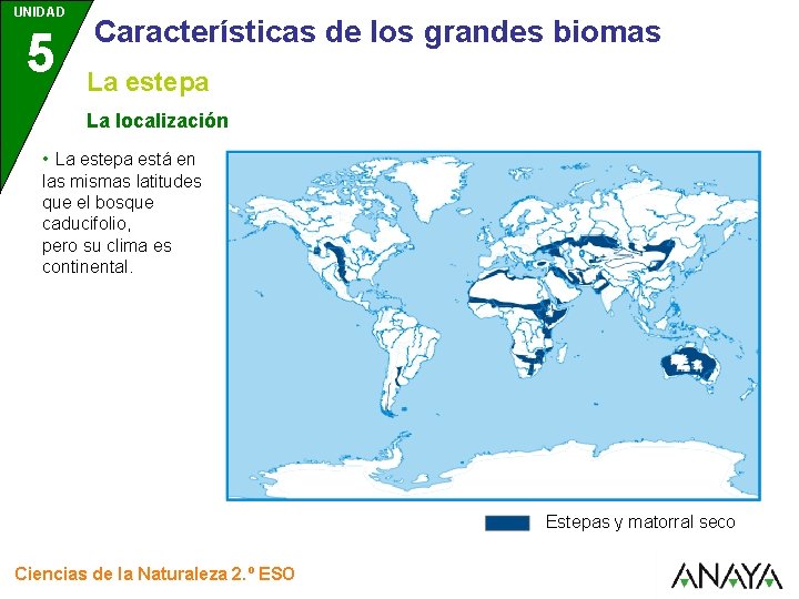 UNIDAD 5 Características de los grandes biomas La estepa La localización • La estepa