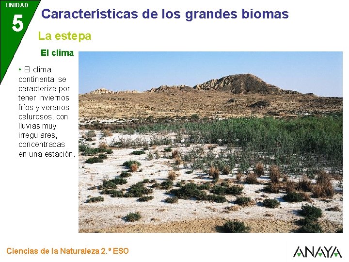UNIDAD 5 Características de los grandes biomas La estepa El clima • El clima