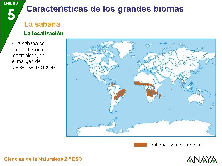 UNIDAD 5 Características de los grandes biomas La sabana La localización • La sabana