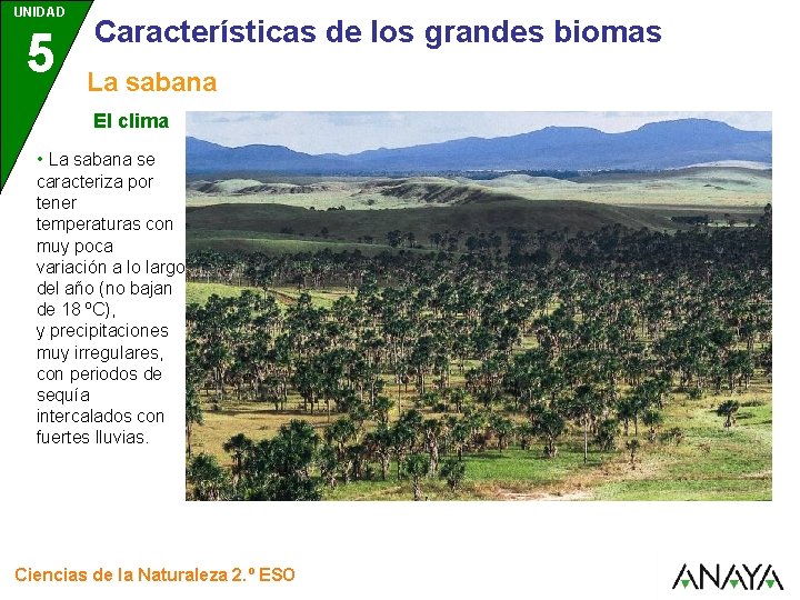 UNIDAD 5 Características de los grandes biomas La sabana El clima • La sabana