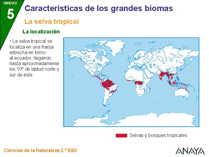 UNIDAD 5 Características de los grandes biomas La selva tropical La localización • La