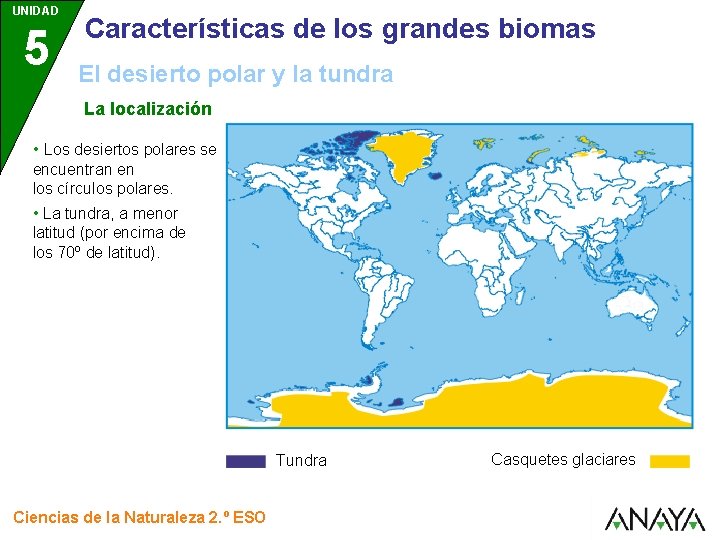 UNIDAD 5 Características de los grandes biomas El desierto polar y la tundra La