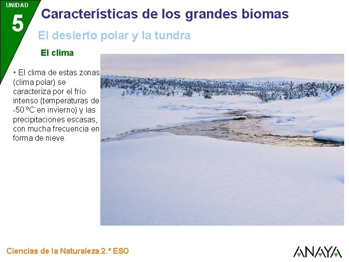 UNIDAD 5 Características de los grandes biomas El desierto polar y la tundra El