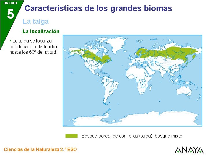 UNIDAD 5 Características de los grandes biomas La taiga La localización • La taiga