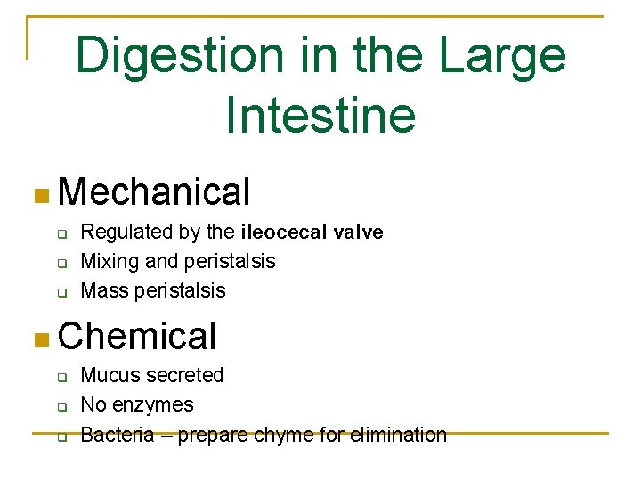 Digestion in the Large Intestine n Mechanical q q q Regulated by the ileocecal