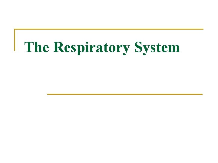 The Respiratory System 