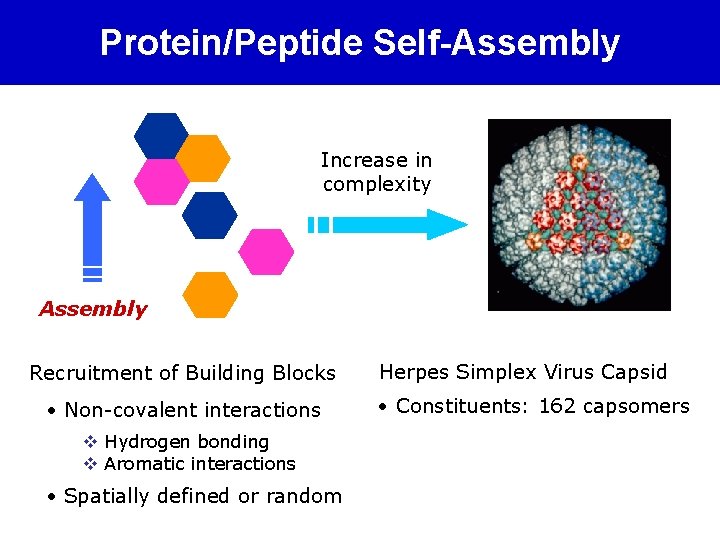 Biomimetic models of protein aggregation Sandeep Verma Department