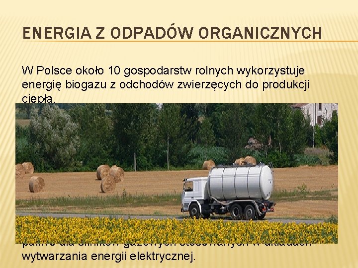 ENERGIA Z ODPADÓW ORGANICZNYCH W Polsce około 10 gospodarstw rolnych wykorzystuje energię biogazu z