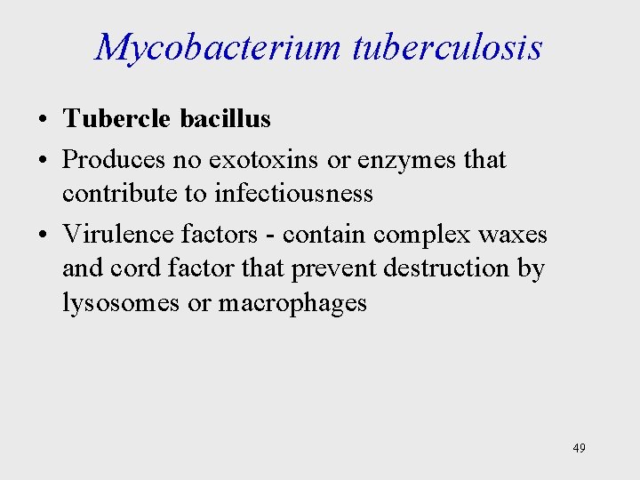 tubercle bacillus parazita)