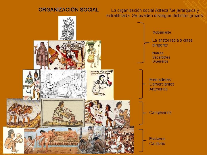 ORGANIZACIÓN SOCIAL La organización social Azteca fue jerárquica y estratificada. Se pueden distinguir distintos