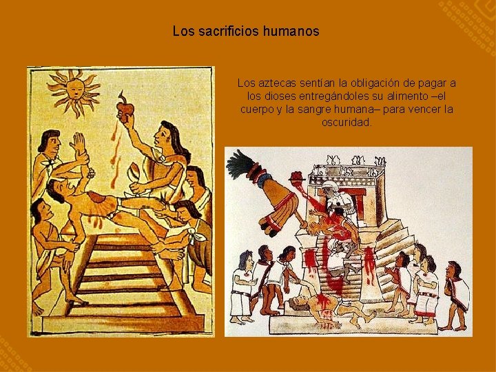 Los sacrificios humanos Los aztecas sentían la obligación de pagar a los dioses entregándoles