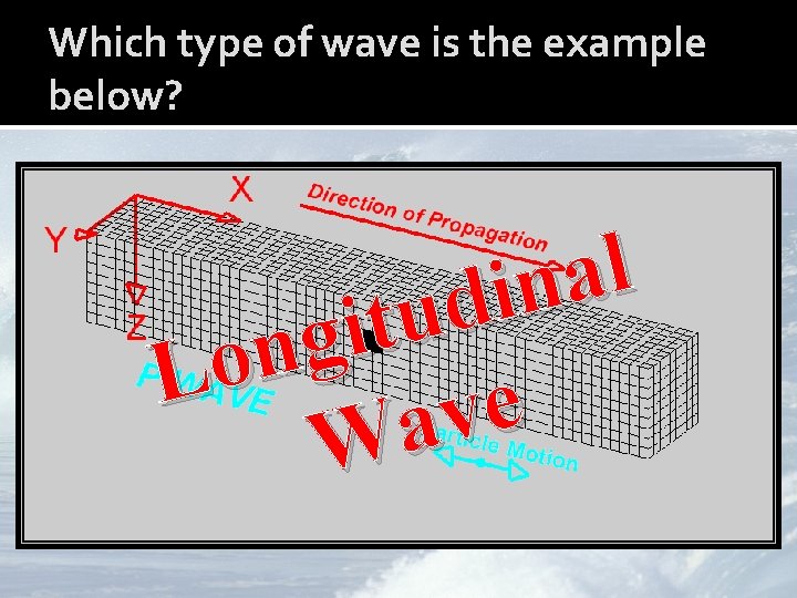 Which type of wave is the example below? l a n i d u