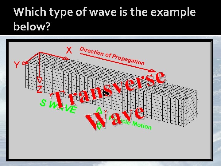 Which type of wave is the example below? e s r e v s