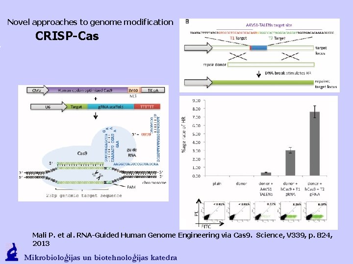 Novel approaches to genome modification CRISP-Cas Mali P. et al. RNA-Guided Human Genome Engineering