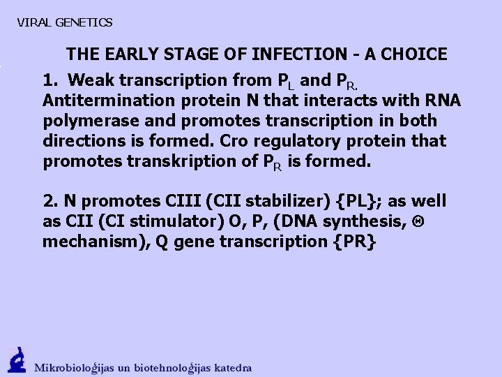 VIRAL GENETICS THE EARLY STAGE OF INFECTION - A CHOICE 1. Weak transcription from