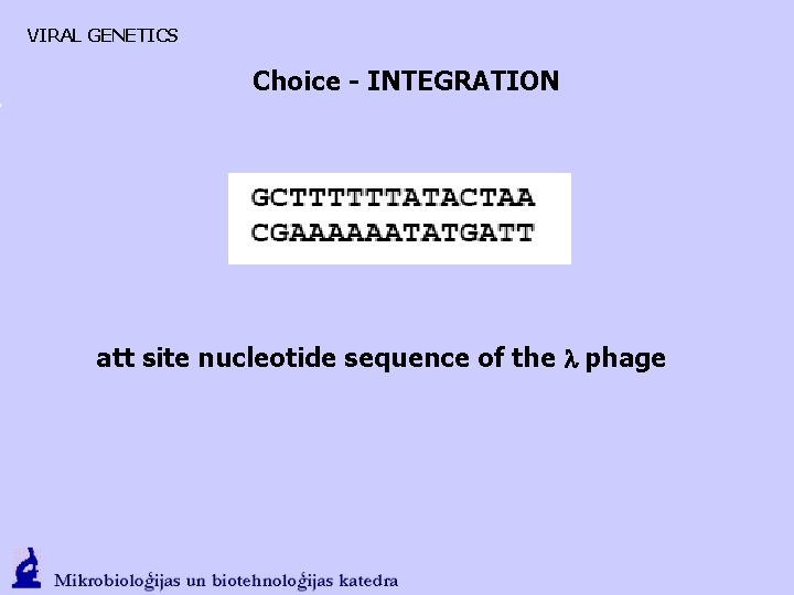 VIRAL GENETICS Choice - INTEGRATION att site nucleotide sequence of the l phage 