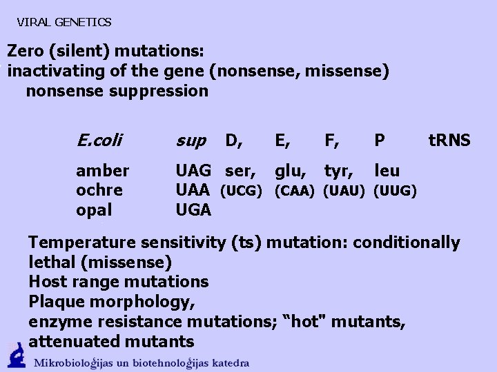 VIRAL GENETICS Zero (silent) mutations: inactivating of the gene (nonsense, missense) nonsense suppression E.