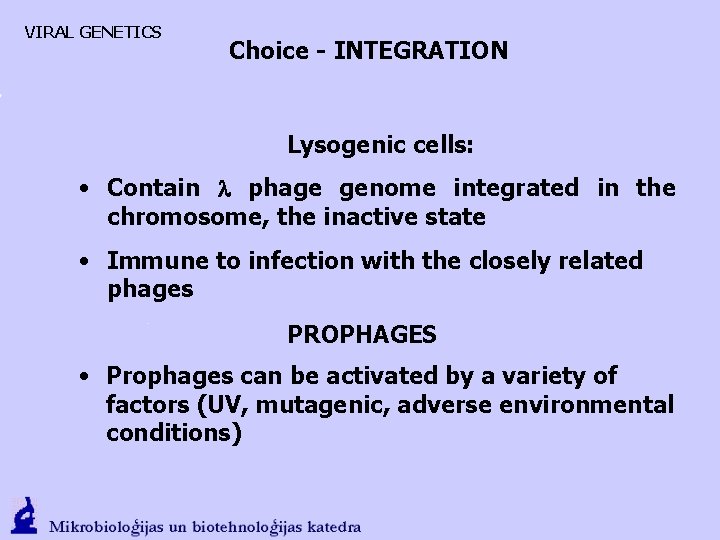 VIRAL GENETICS Choice - INTEGRATION Lysogenic cells: • Contain l phage genome integrated in