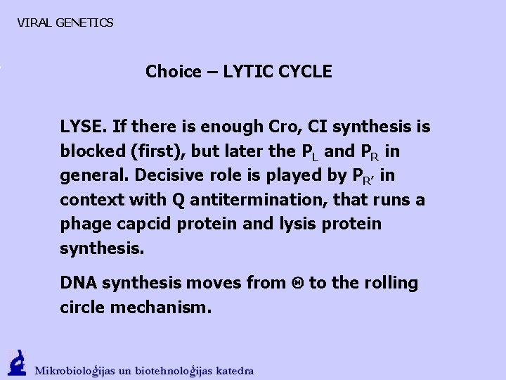 VIRAL GENETICS Choice – LYTIC CYCLE LYSE. If there is enough Cro, CI synthesis