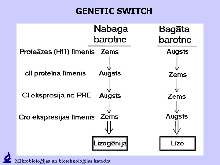 GENETIC SWITCH 