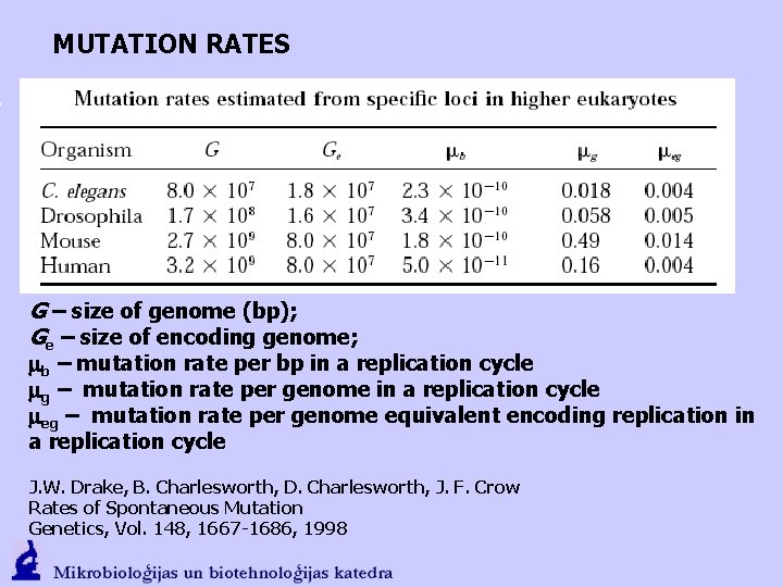 MUTATION RATES G – size of genome (bp); Ge – size of encoding genome;