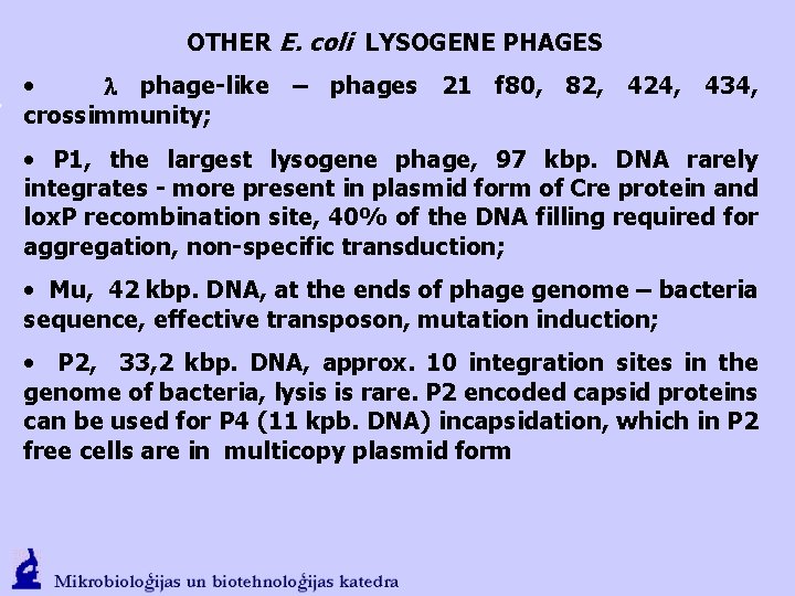 OTHER E. coli LYSOGENE PHAGES • l phage-like – phages 21 f 80, 82,