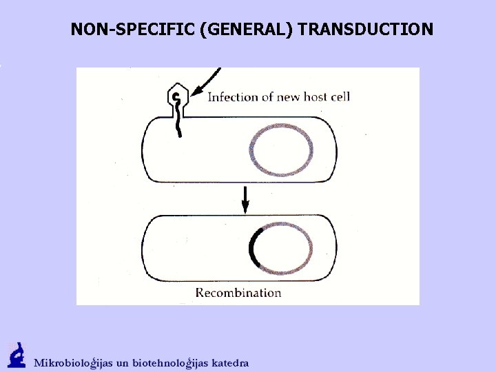 NON-SPECIFIC (GENERAL) TRANSDUCTION 