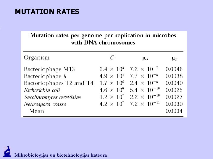 MUTATION RATES 