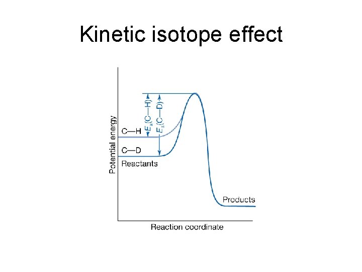Kinetic isotope effect Kinetic isotope effect