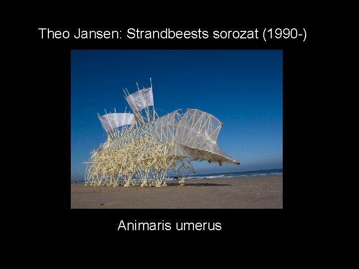 Theo Jansen: Strandbeests sorozat (1990 -) Animaris umerus 