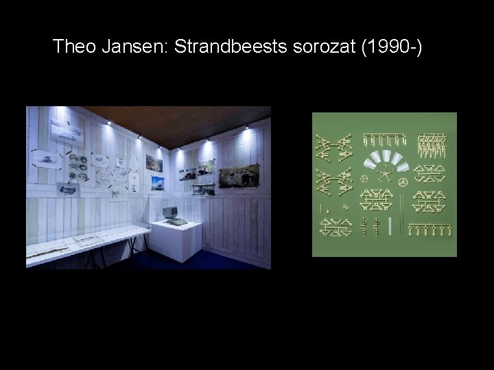 Theo Jansen: Strandbeests sorozat (1990 -) 