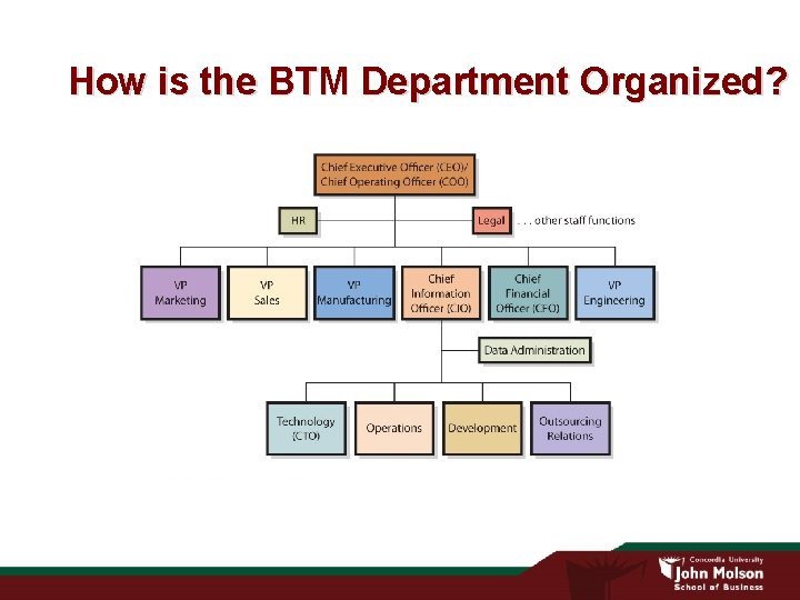 How is the BTM Department Organized? 