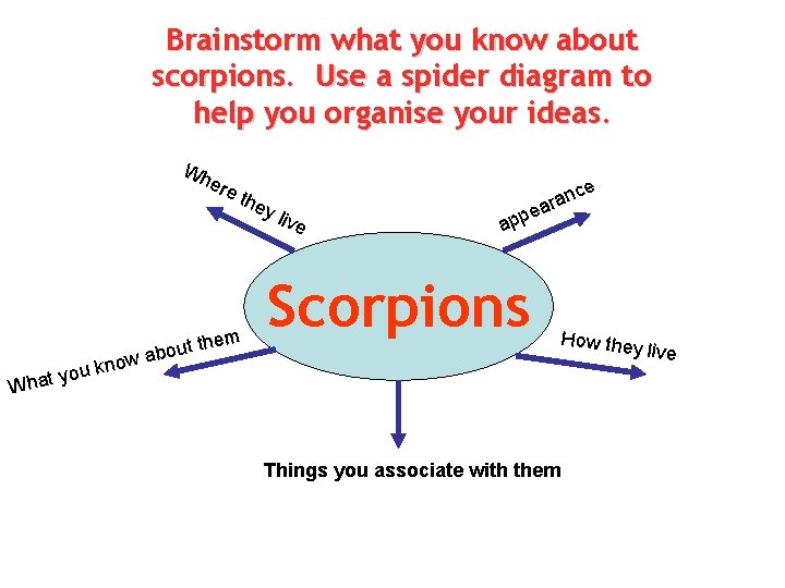 Brainstorm what you know about scorpions. Use a spider diagram to help you organise