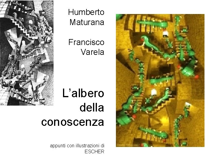 Humberto Maturana Francisco Varela L’albero della conoscenza appunti con illustrazioni di ESCHER 