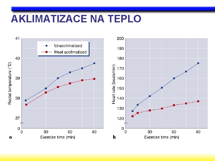 AKLIMATIZACE NA TEPLO 