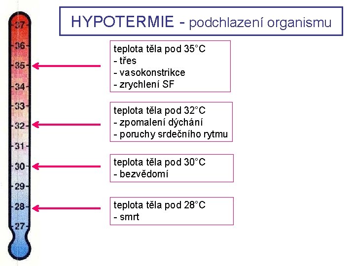HYPOTERMIE - podchlazení organismu teplota těla pod 35°C - třes - vasokonstrikce - zrychlení HYPOTERMIE - podchlazení organismu teplota těla pod 35°C - třes - vasokonstrikce - zrychlení