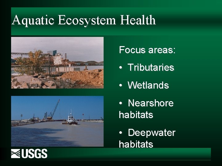 Aquatic Ecosystem Health Focus areas: • Tributaries • Wetlands • Nearshore habitats • Deepwater