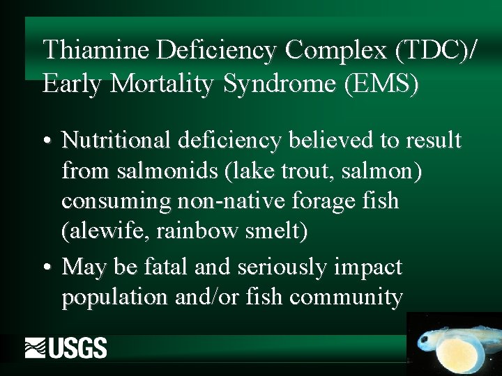 Thiamine Deficiency Complex (TDC)/ Early Mortality Syndrome (EMS) • Nutritional deficiency believed to result