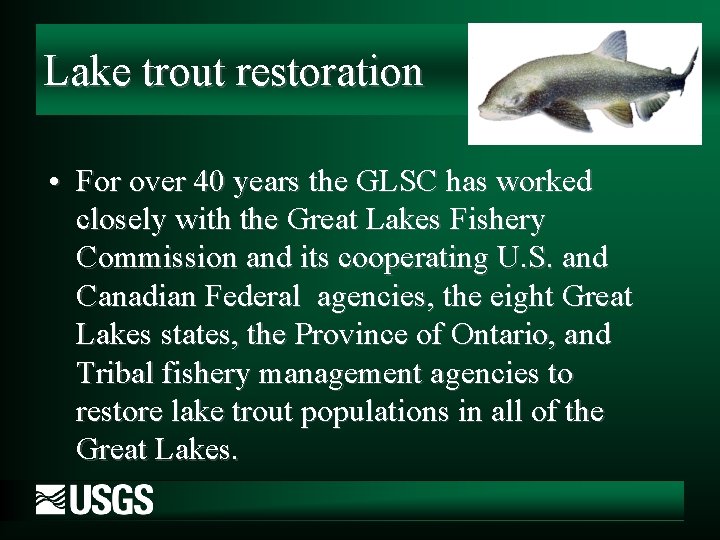 Lake trout restoration • For over 40 years the GLSC has worked closely with