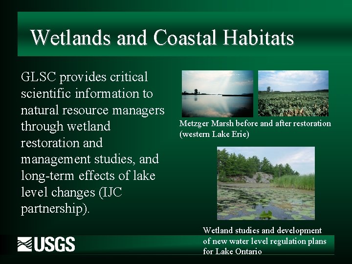 Wetlands and Coastal Habitats GLSC provides critical scientific information to natural resource managers through