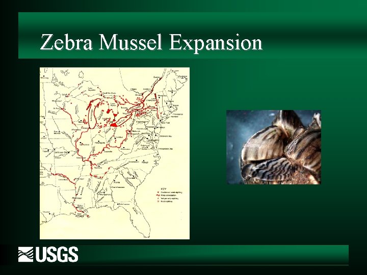 Zebra Mussel Expansion 