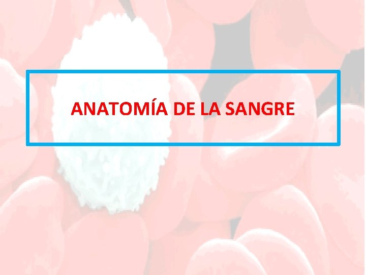 ANATOMÍA DE LA SANGRE 