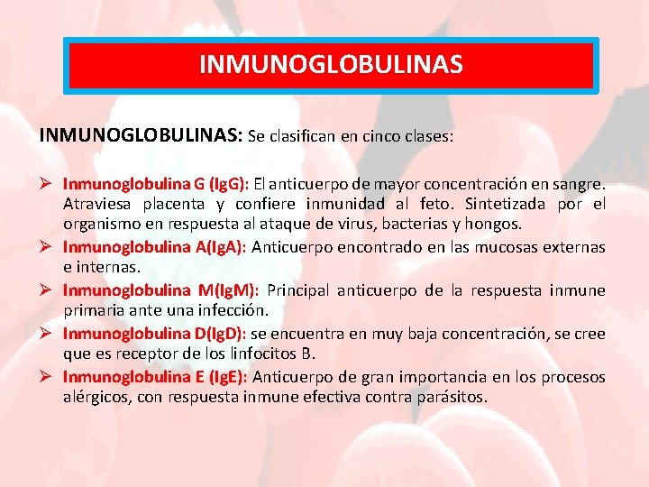 INMUNOGLOBULINAS: Se clasifican en cinco clases: Ø Inmunoglobulina G (Ig. G): El anticuerpo de