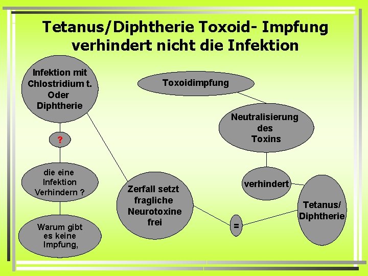 Tetanus/Diphtherie Toxoid- Impfung verhindert nicht die Infektion mit Chlostridium t. Oder Diphtherie Toxoidimpfung Neutralisierung