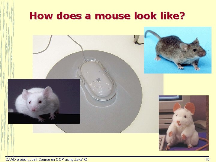 How does a mouse look like? DAAD project „Joint Course on OOP using Java“ How does a mouse look like? DAAD project „Joint Course on OOP using Java“
